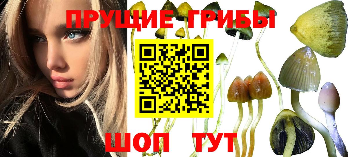 Уфа  Галлюциногенные грибы мицелий  купить наркотики сайты  Вход с VPN 